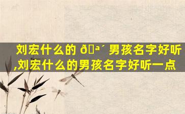 刘宏什么的 🪴 男孩名字好听,刘宏什么的男孩名字好听一点